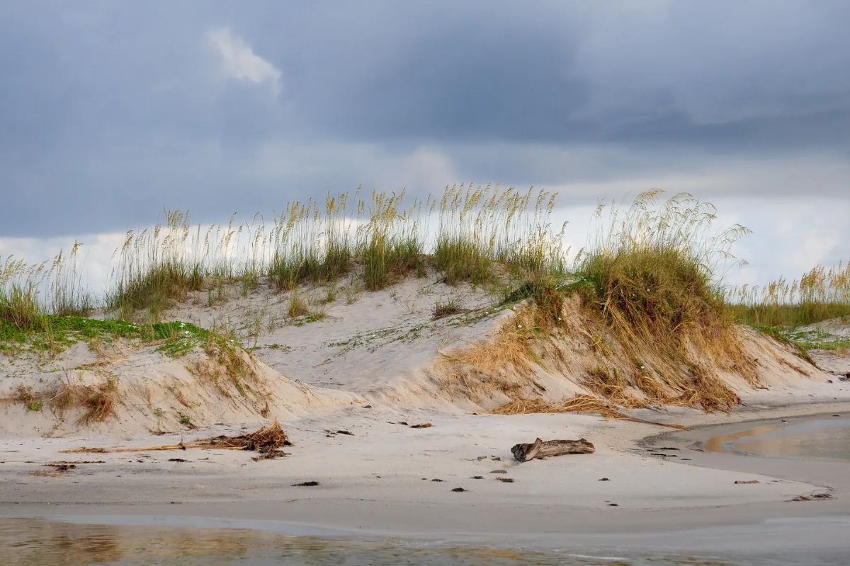 Secrets-Beneath-Alabama8217s-Sand-Mountain secrets-beneath-alabamas-sand-mountain