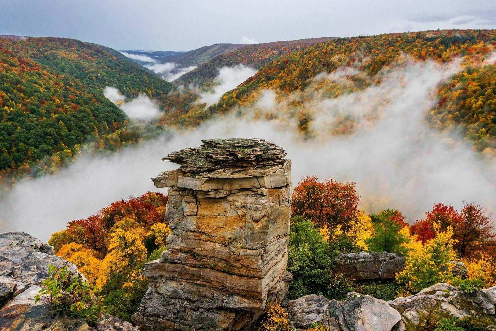 Secrets-Hidden-In-West-Virginia8217s-Canaan-Mountain secrets-hidden-in-west-virginias-canaan-mountain