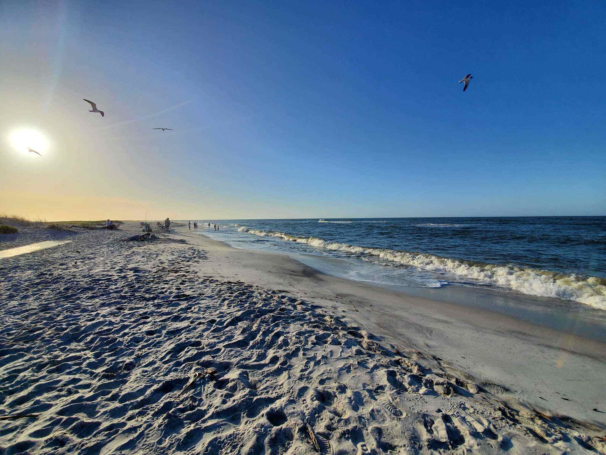 secrets-of-alabamas-dauphin-island-shell-banks