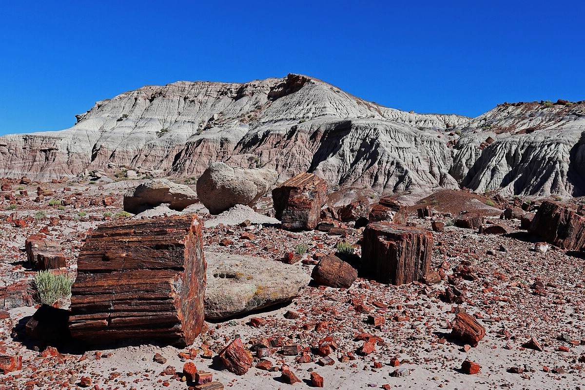 secrets-of-arizonas-petrified-creek