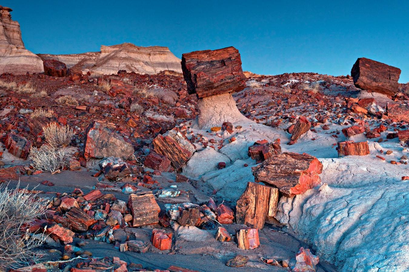 Secrets-Of-Arizona8217s-Petrified-Valley-Pools secrets-of-arizonas-petrified-valley-pools