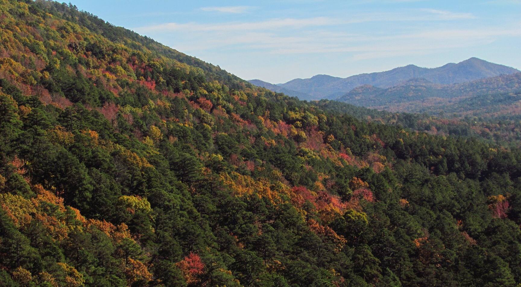 secrets-of-arkansas-rich-mountain-trails