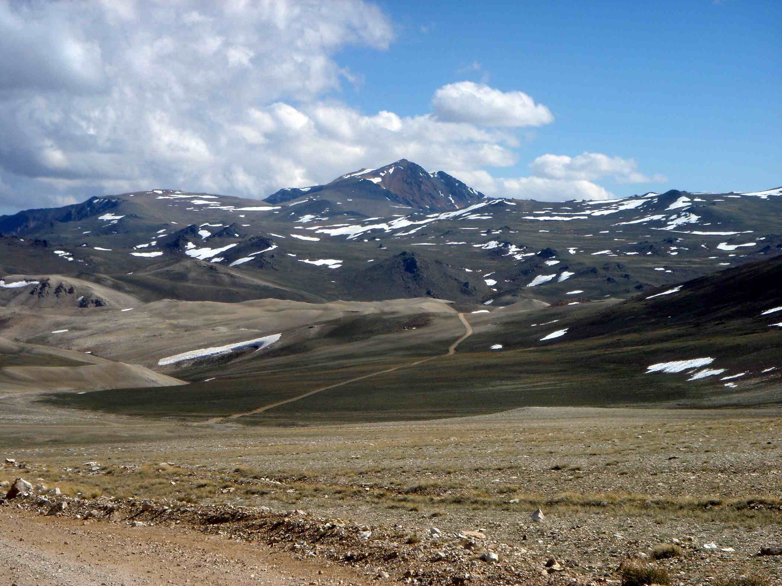 secrets-of-californias-white-mountain-rings