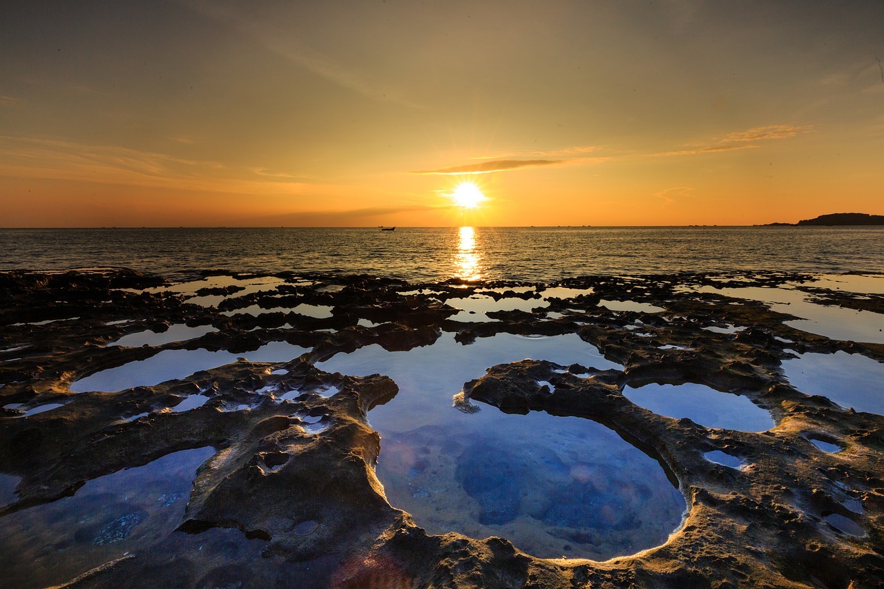 Secrets-Of-Cape-Henlopen8217s-Sacred-Springs secrets-of-cape-henlopens-sacred-springs