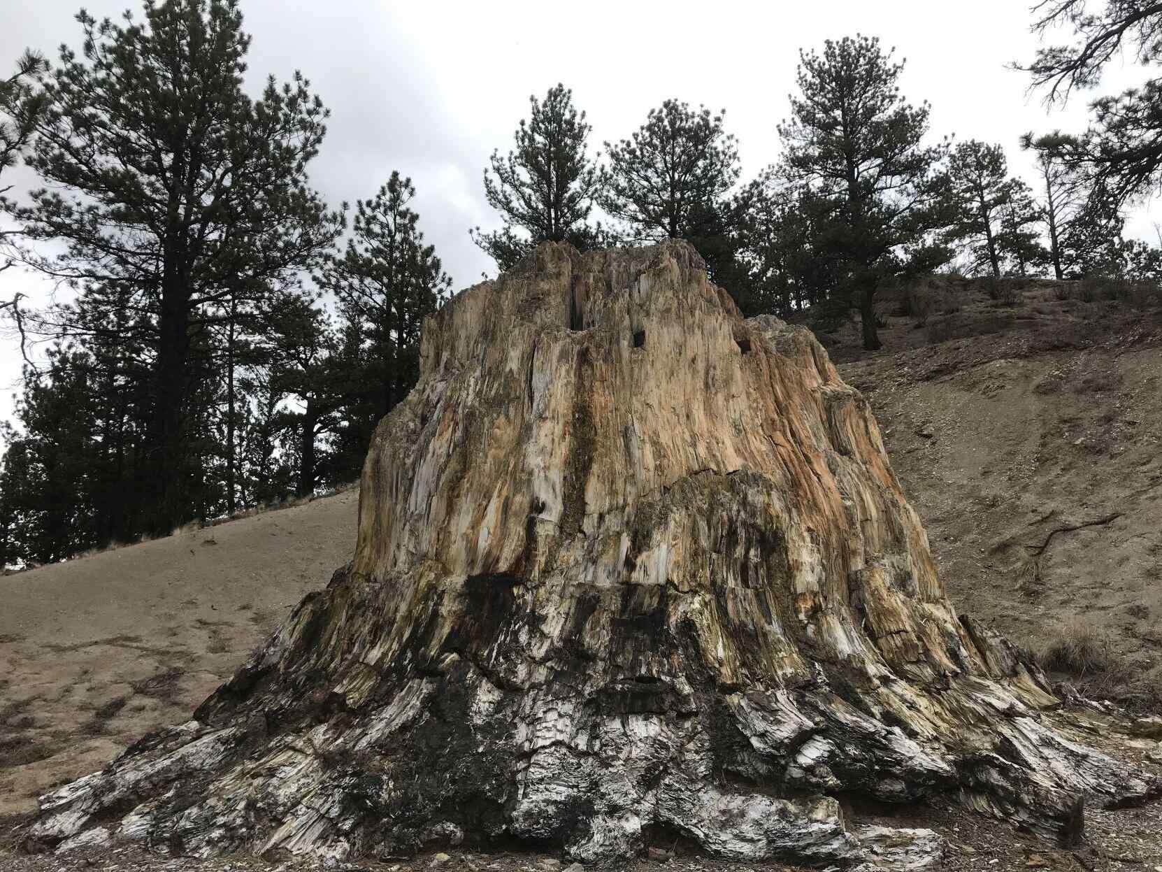 secrets-of-colorados-fossil-beds