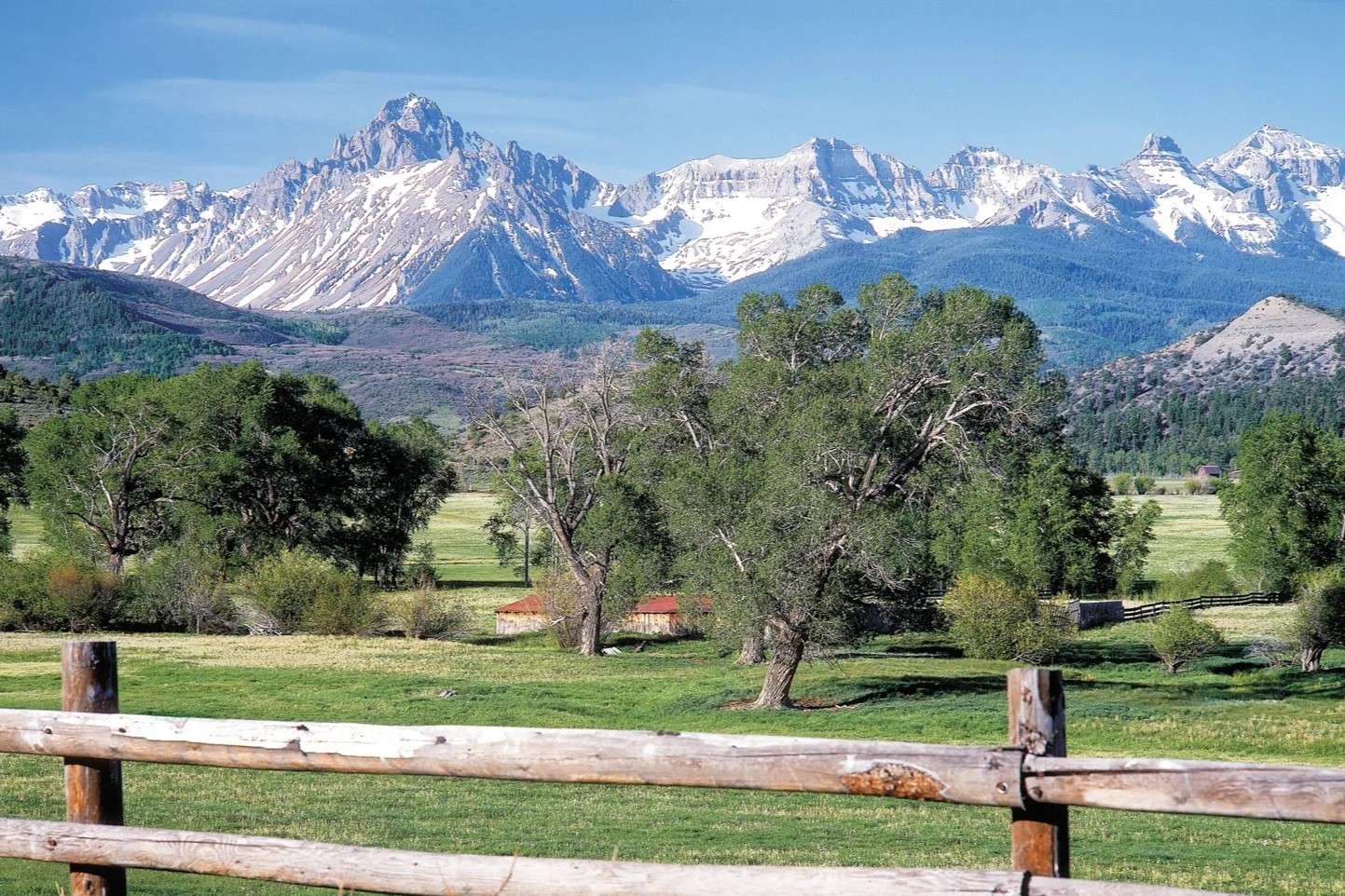 secrets-of-colorados-san-juan-medicine-trees