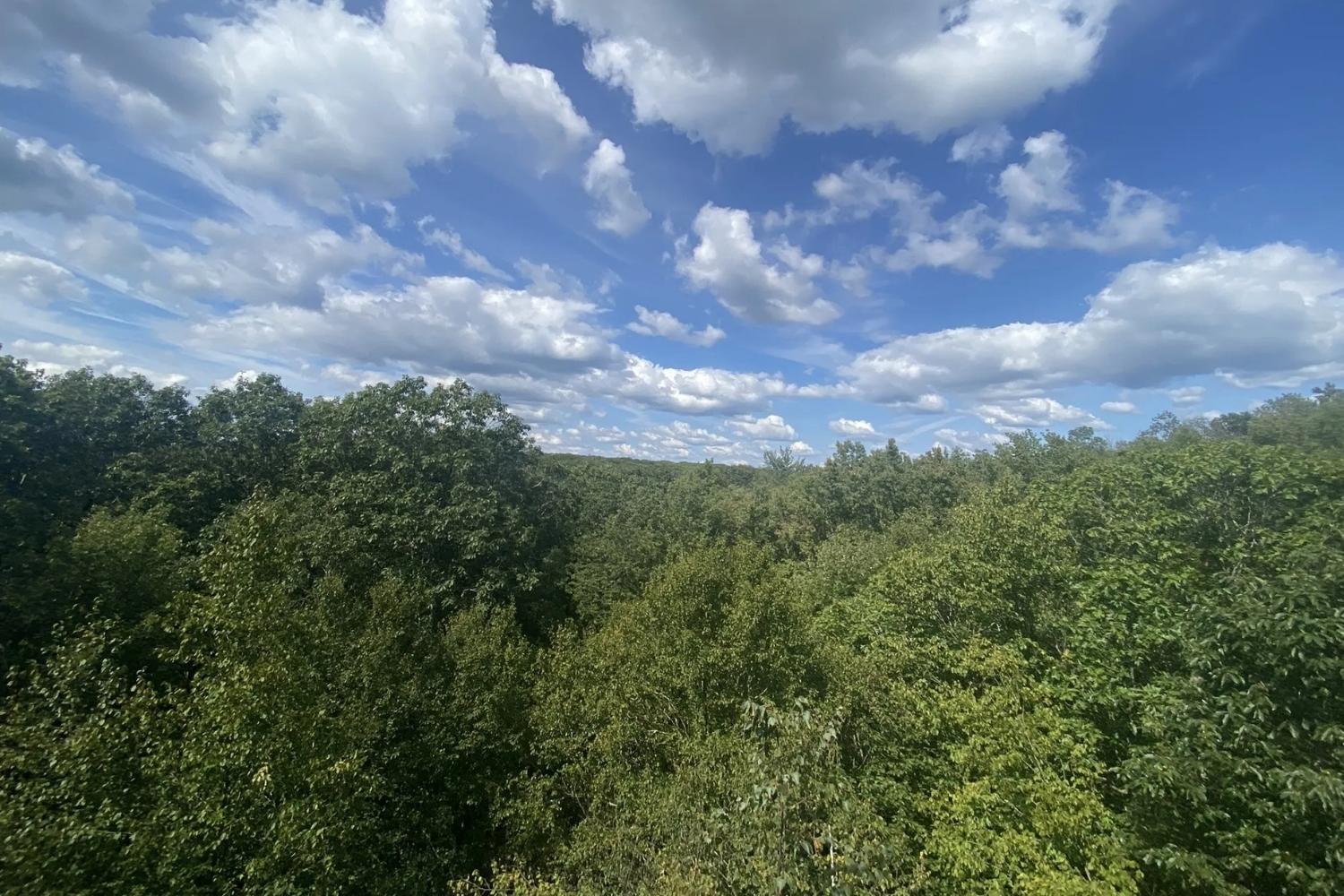 secrets-of-connecticuts-indian-council