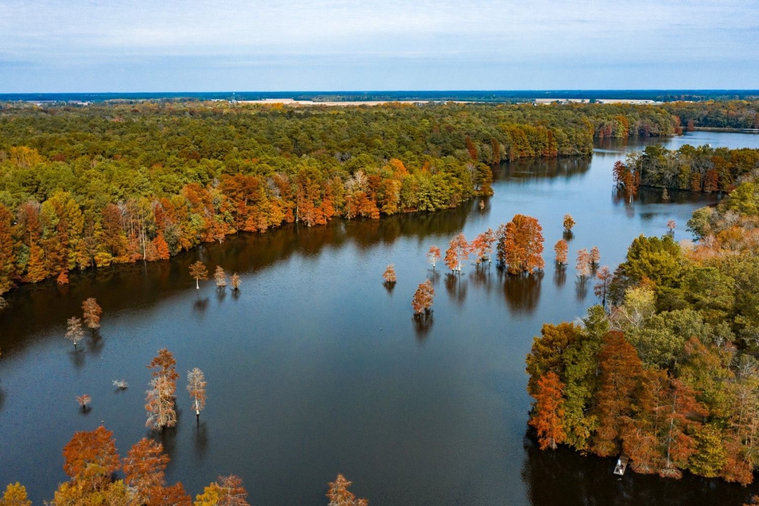 secrets-of-delawares-cypress-swamp-springs