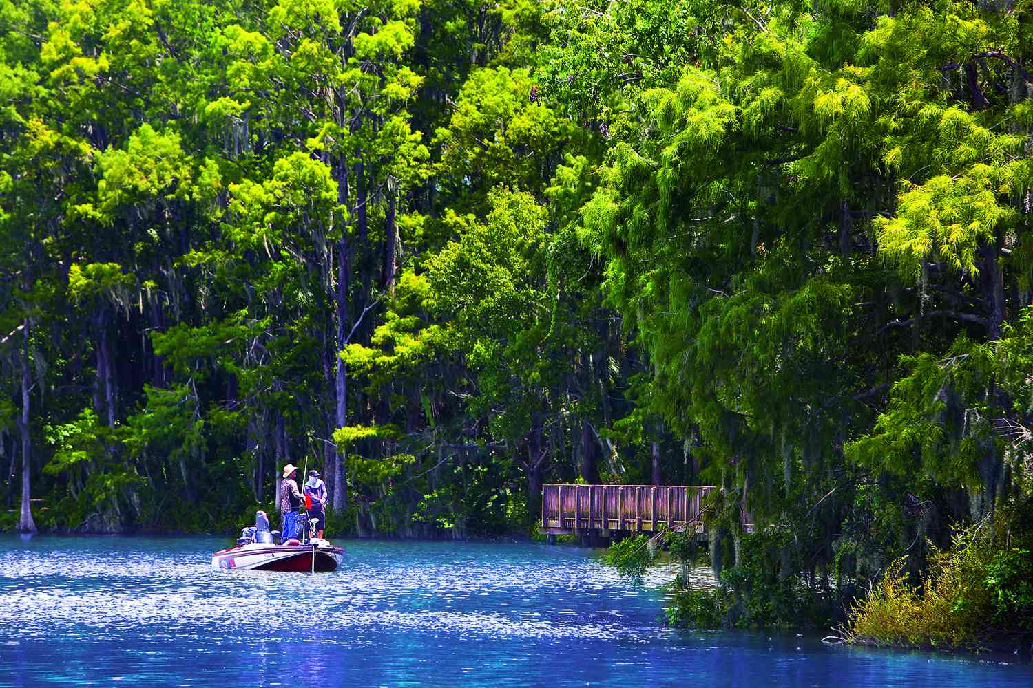 secrets-of-floridas-living-creek-lakes