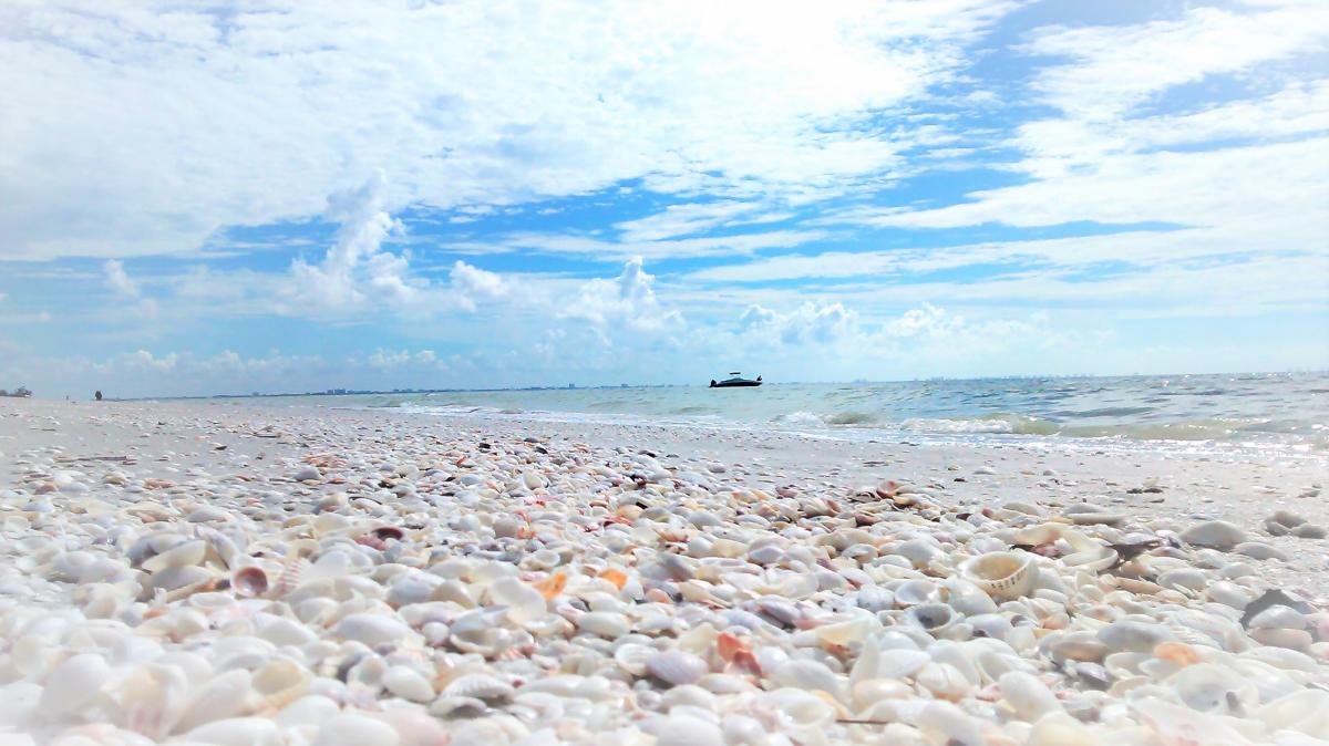 Secrets-Of-Florida8217s-Shell-Key-Paths secrets-of-floridas-shell-key-paths