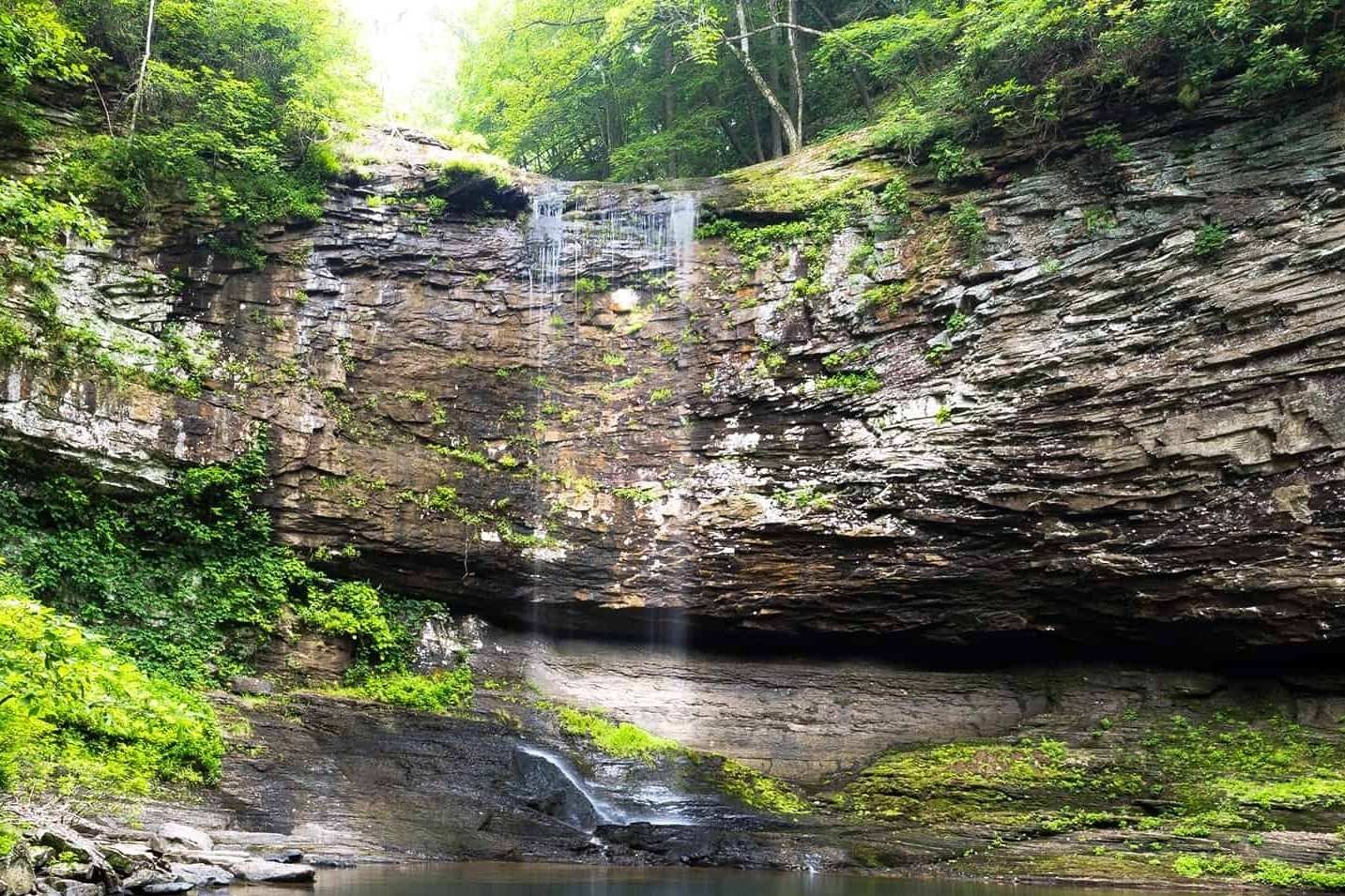 secrets-of-georgias-cloudland-canyon-springs