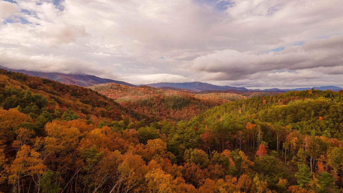 Secrets-Of-Georgia8217s-Cohutta-Mountains secrets-of-georgias-cohutta-mountains