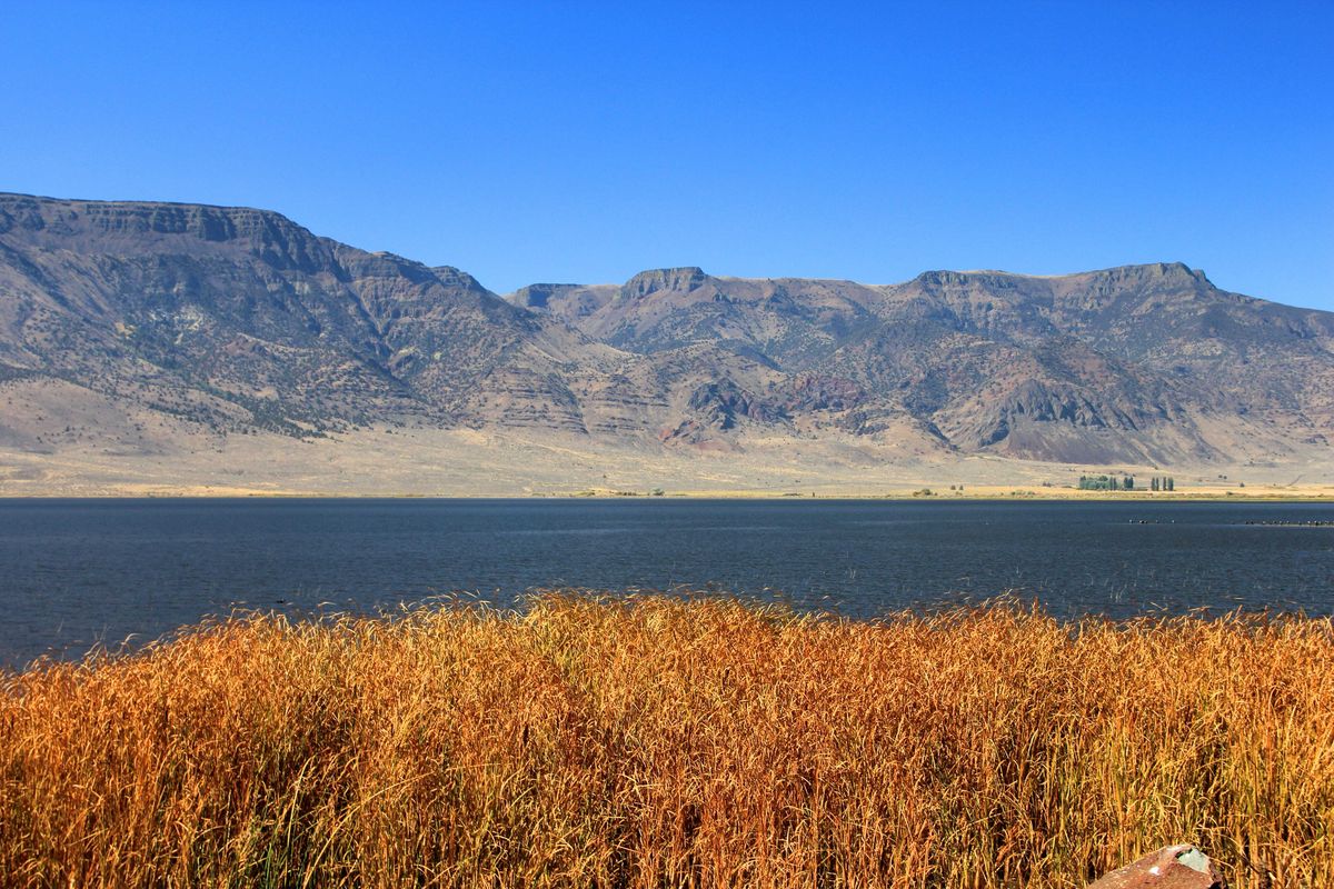 secrets-of-hart-mountains-sacred-stone-rings