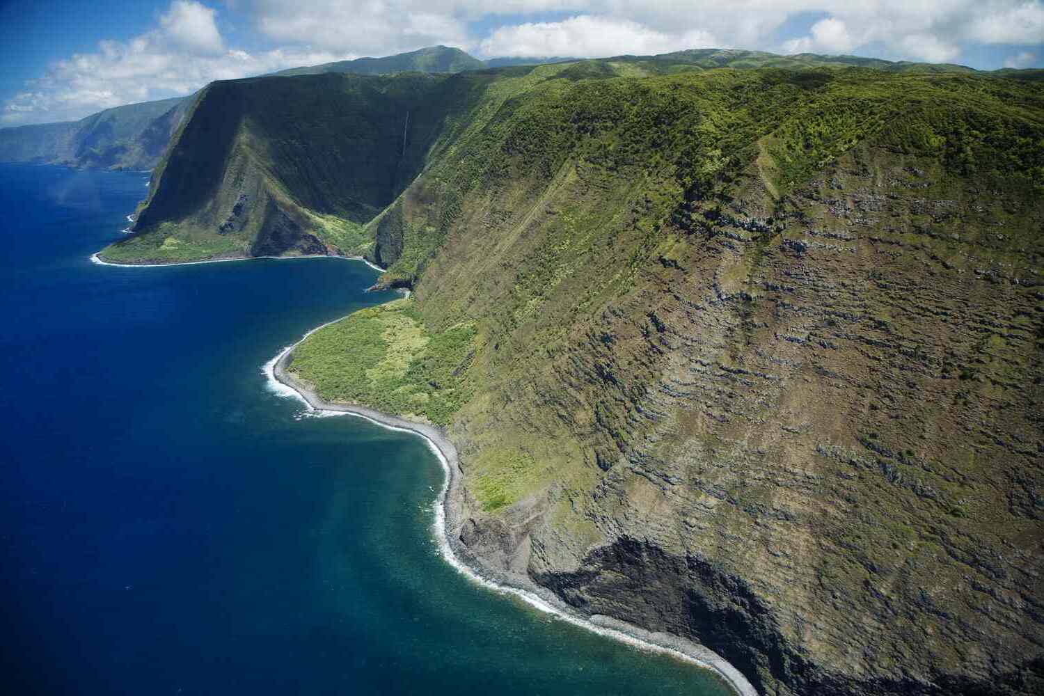 Secrets-Of-Hawaii8217s-Molokai-Coast-Shells secrets-of-hawaiis-molokai-coast-shells
