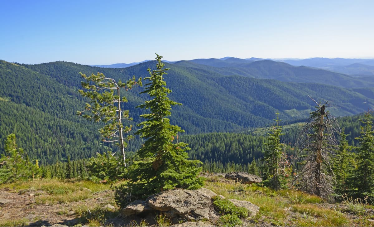 Secrets-Of-Idaho8217s-Clearwater-Mountains secrets-of-idahos-clearwater-mountains