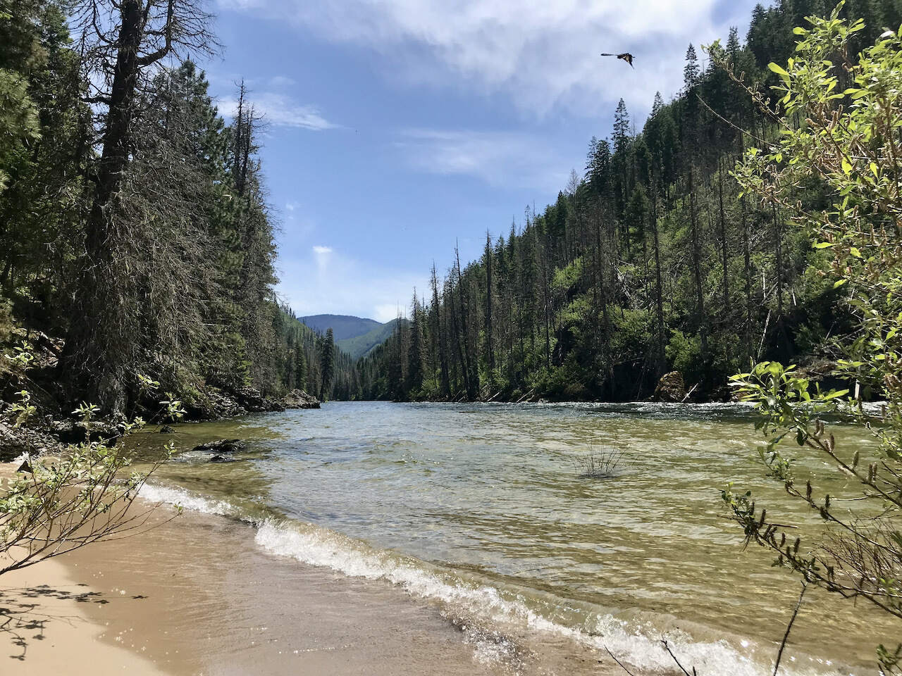 Secrets-Of-Idaho8217s-Selway-River-Trails secrets-of-idahos-selway-river-trails