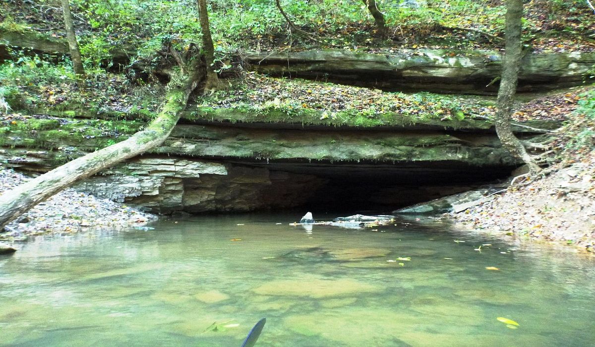 Secrets-Of-Kentucky8217s-Green-River-Caves secrets-of-kentuckys-green-river-caves