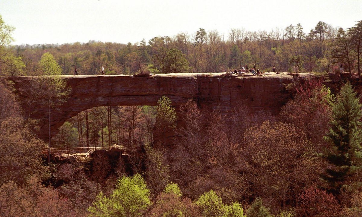 Secrets-Of-Kentucky8217s-Natural-Bridge-Rock-Formations secrets-of-kentuckys-natural-bridge-rock-formations
