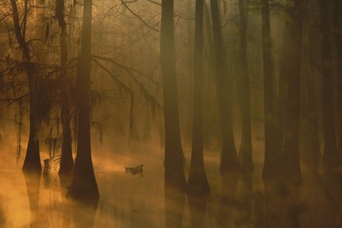 Secrets-Of-Louisiana8217s-Crystal-Bayou secrets-of-louisianas-crystal-bayou