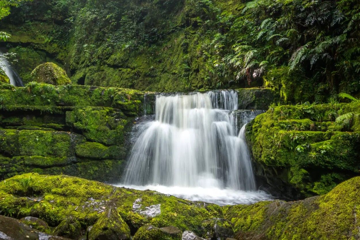 secrets-of-louisianas-kisatchie-springs