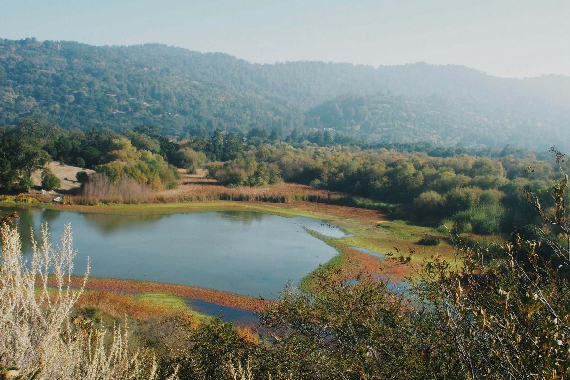 secrets-of-marylands-jasper-ridge