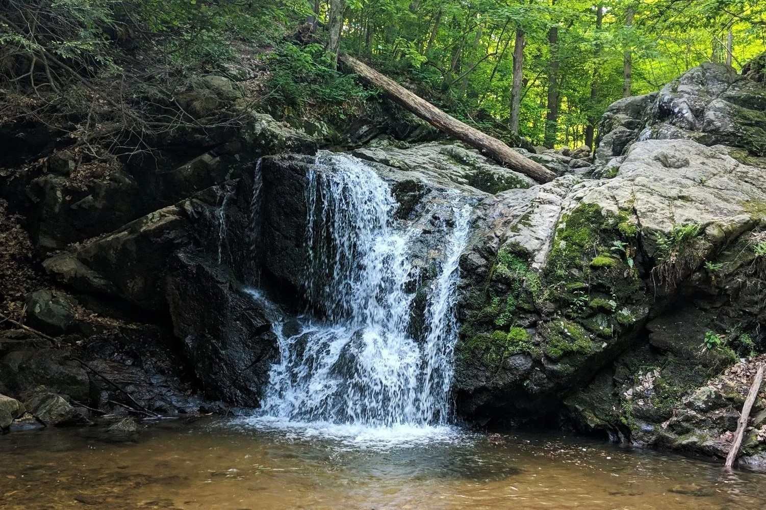 Secrets-Of-Maryland8217s-Rocky-Gap-Cascades secrets-of-marylands-rocky-gap-cascades