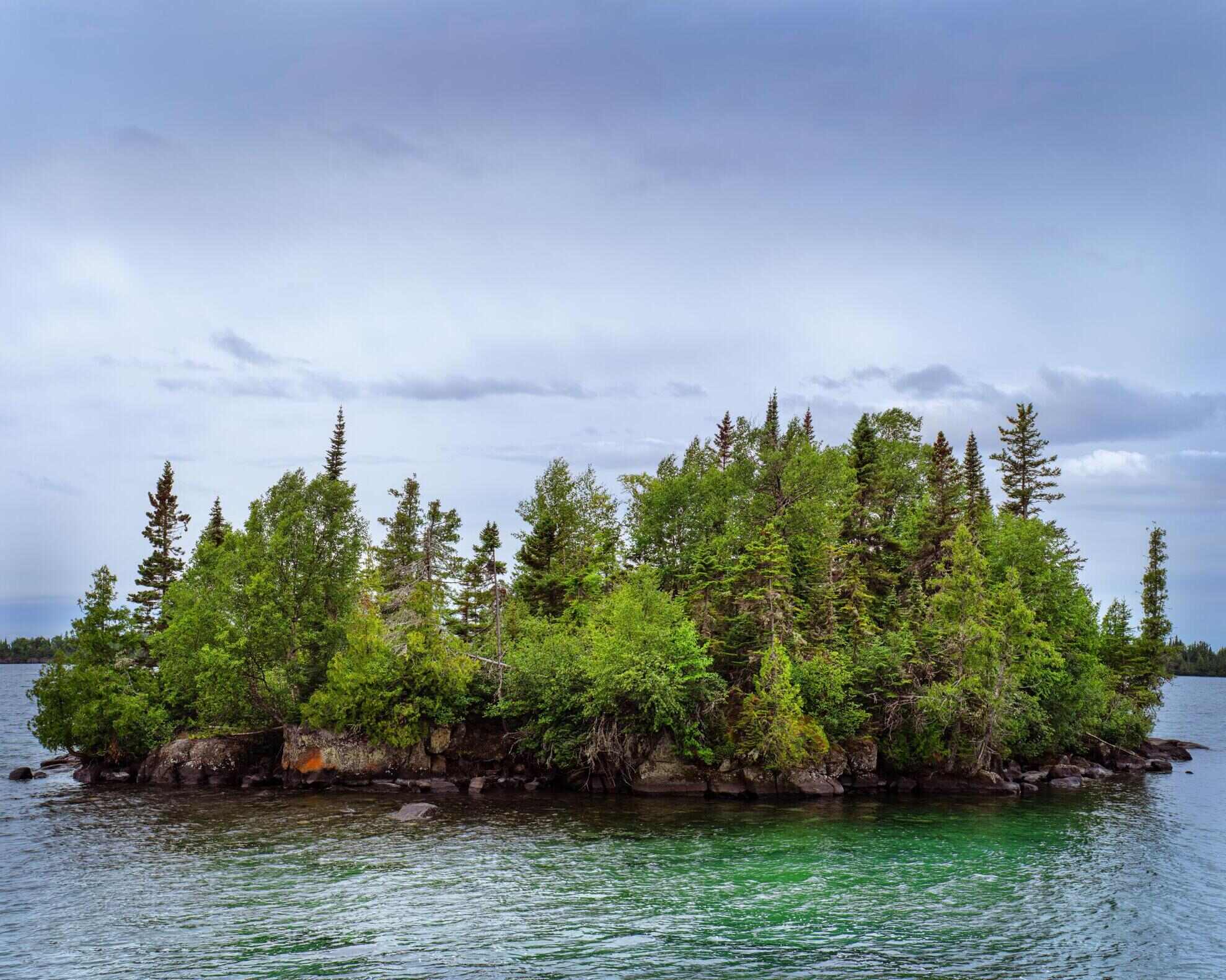 Secrets-Of-Michigan8217s-Isle-Royale-Medicine-Trees secrets-of-michigans-isle-royale-medicine-trees