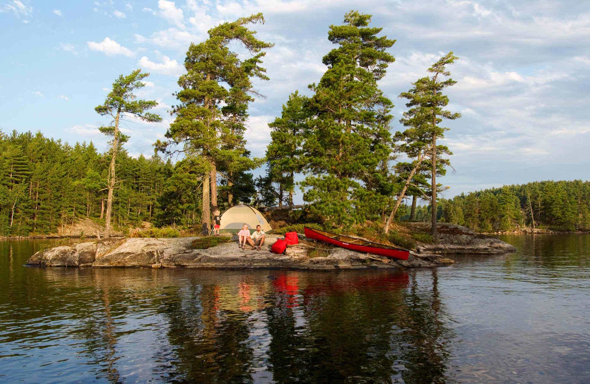 Secrets-Of-Minnesota8217s-Boundary-Waters-Trees secrets-of-minnesotas-boundary-waters-trees