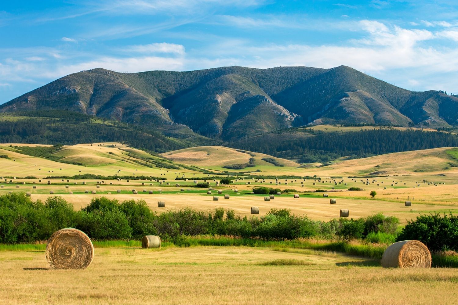 secrets-of-montanas-judith-mountains