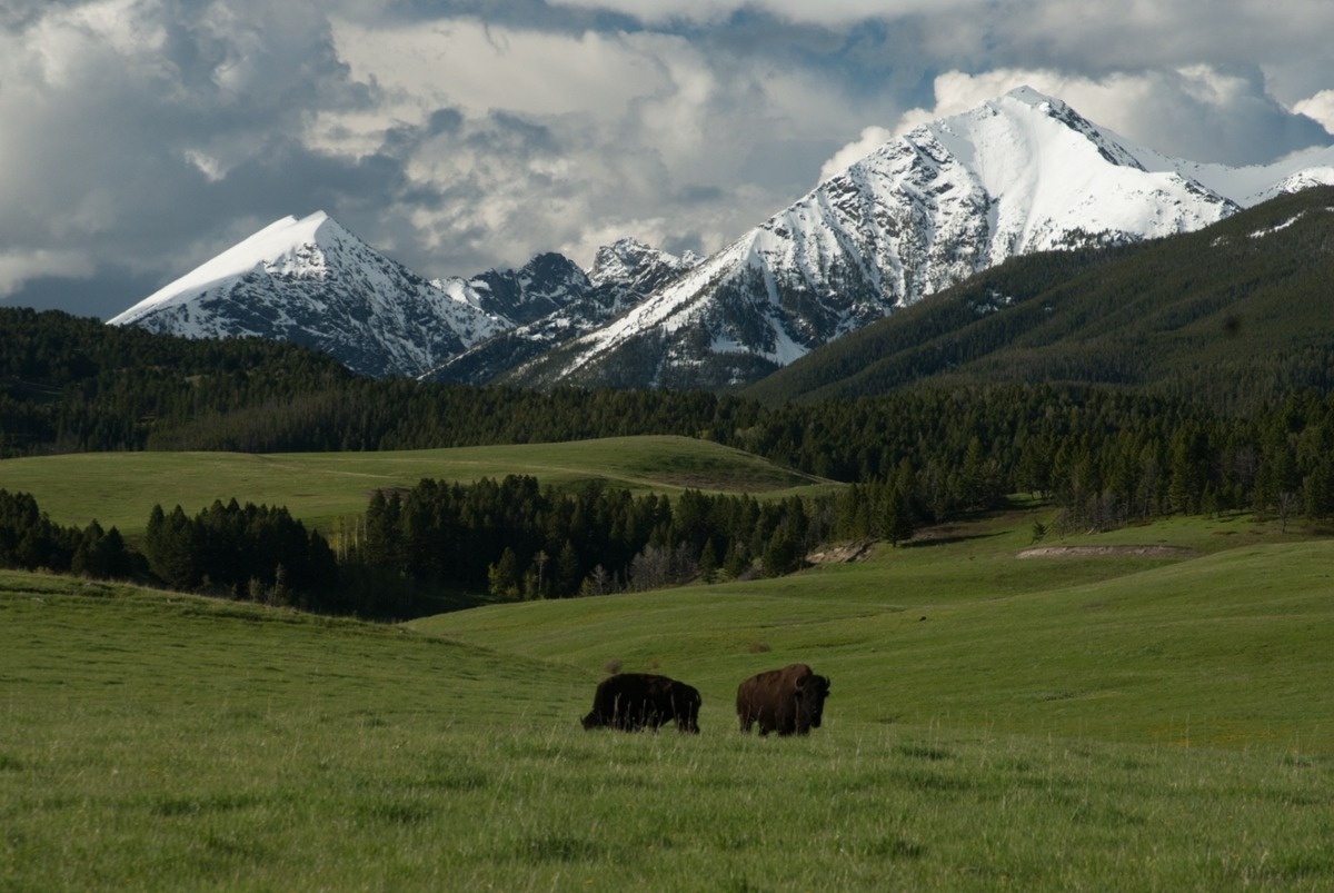 secrets-of-montanas-spanish-peaks-waters