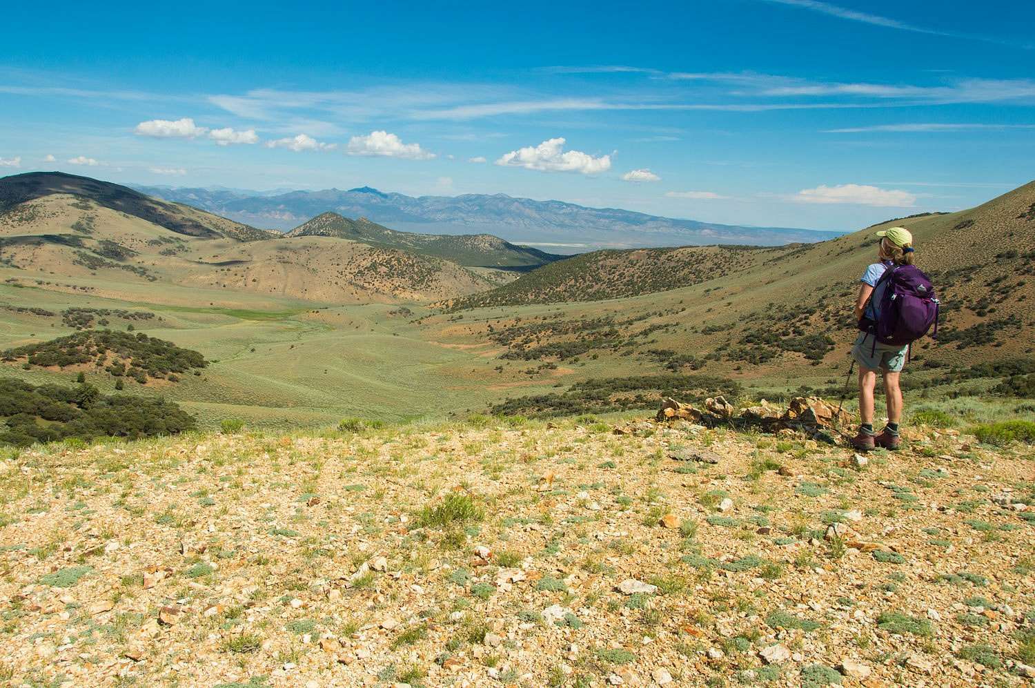 Secrets-Of-Nevada8217s-Monitor-Range-Eagle-Nests secrets-of-nevadas-monitor-range-eagle-nests