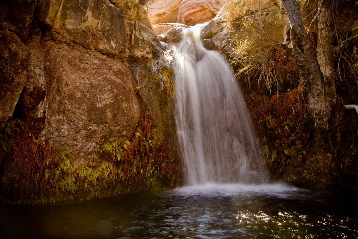secrets-of-nevadas-red-rock-canyon-pools
