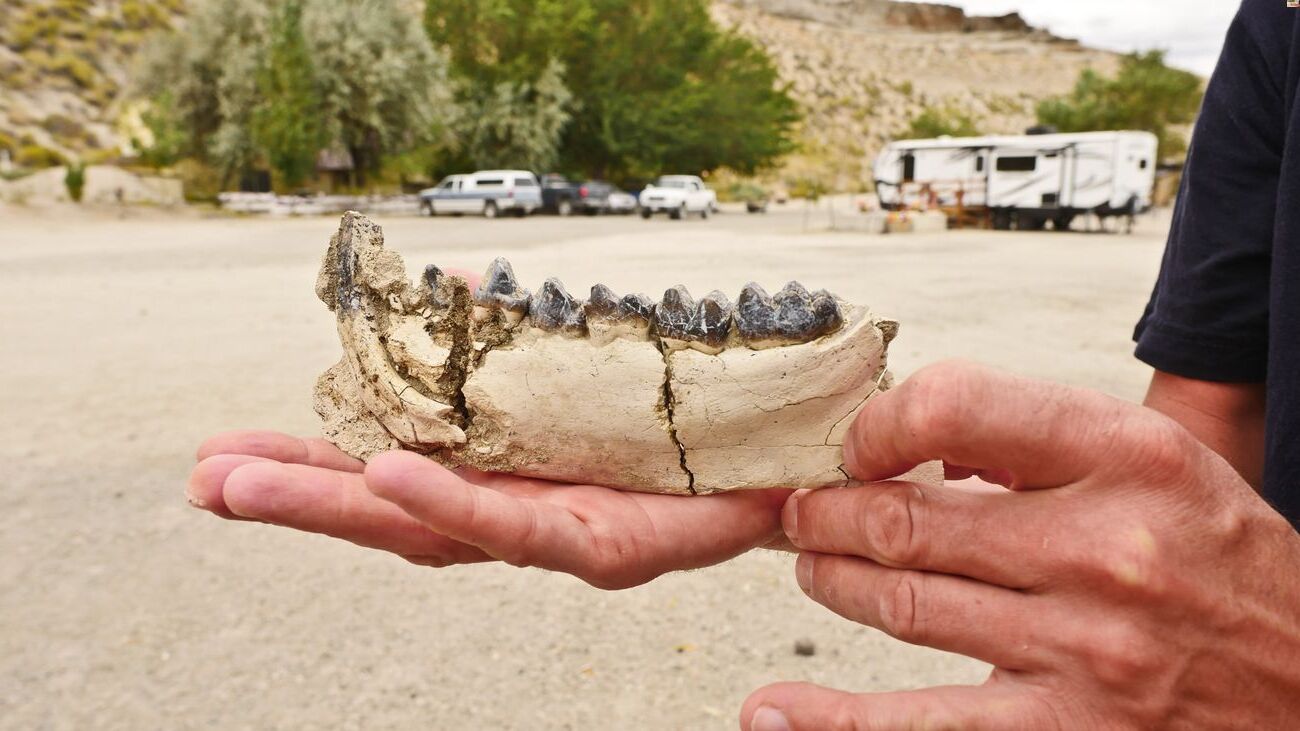 secrets-of-nevadas-royal-peacock-opal-mines