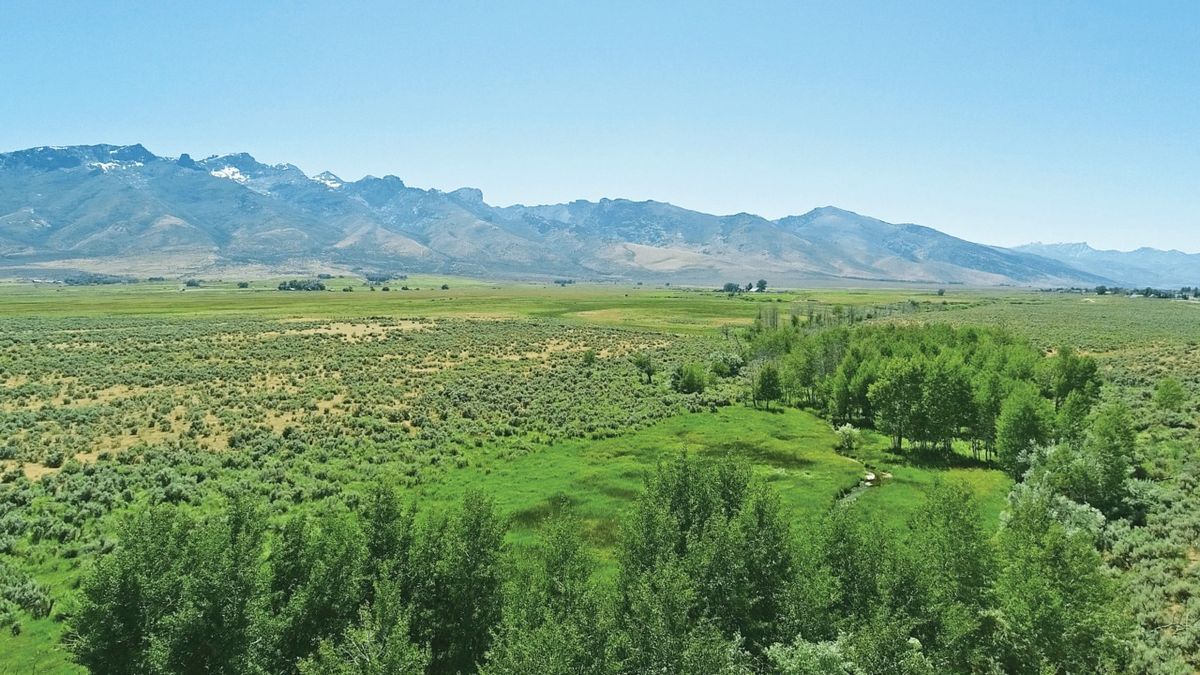 secrets-of-nevadas-ruby-valley-ranches