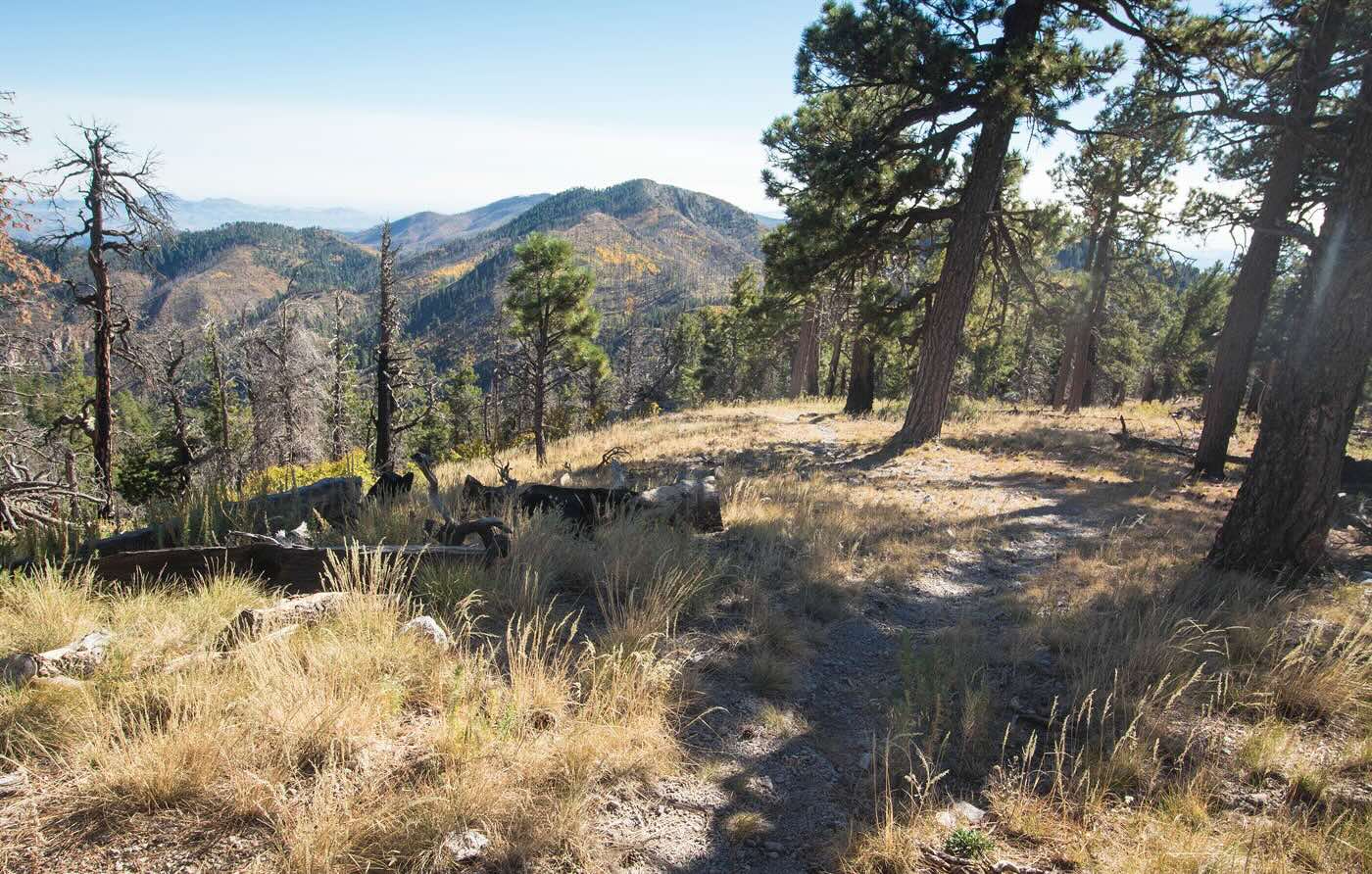 secrets-of-new-mexicos-black-range