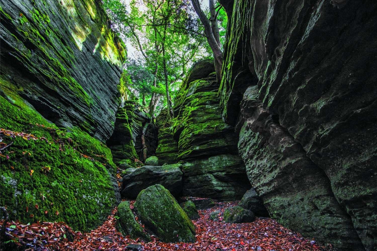 secrets-of-new-yorks-panama-rocks-revealed