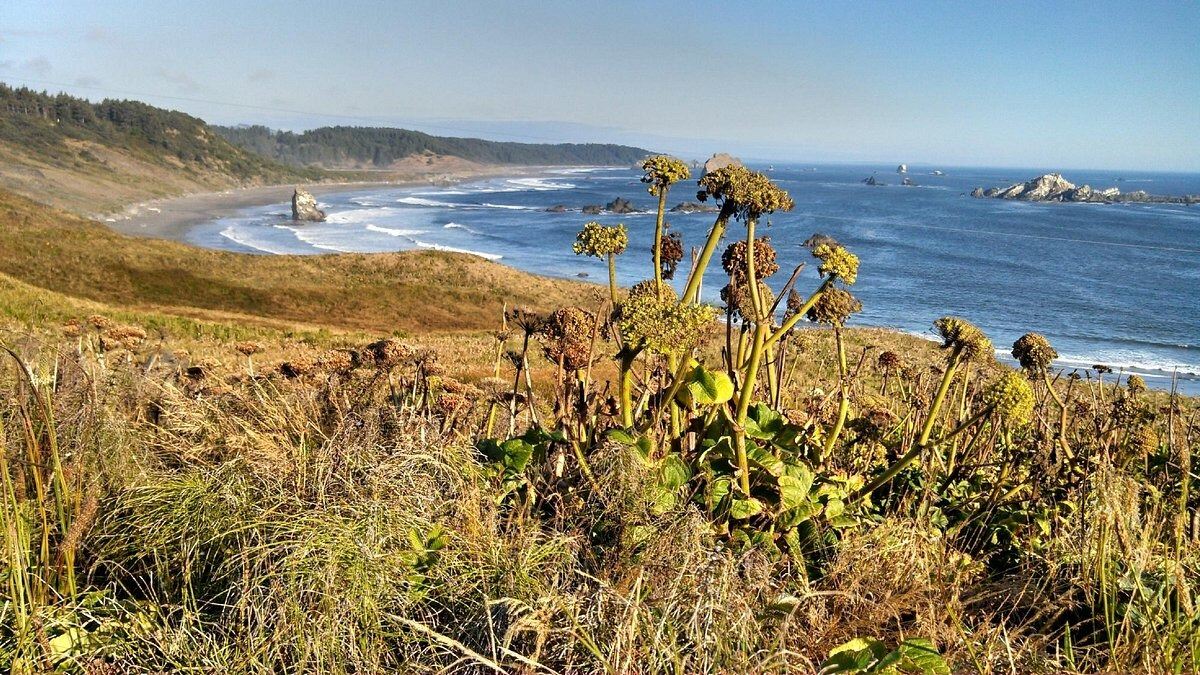 secrets-of-oregons-cape-blanco-ghost-towns