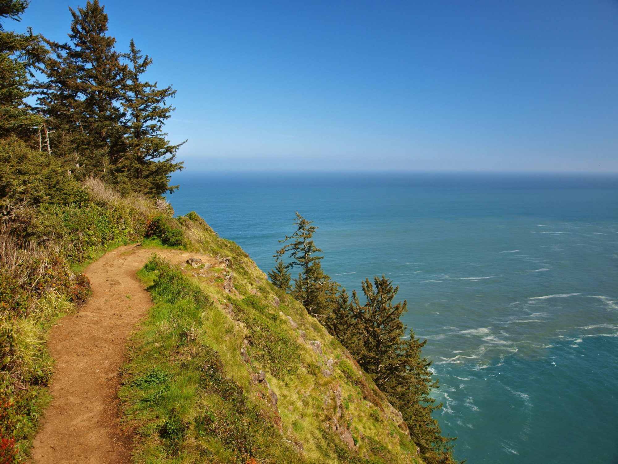 Secrets-Of-Oregon8217s-Cape-Lookout-Waters secrets-of-oregons-cape-lookout-waters