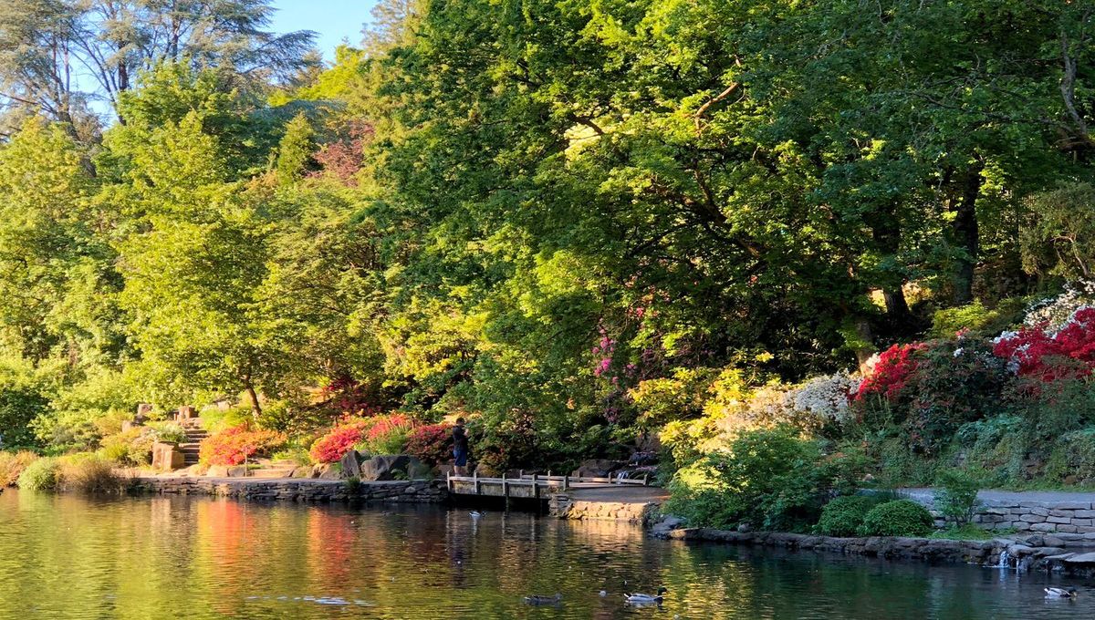 secrets-of-oregons-crystal-springs