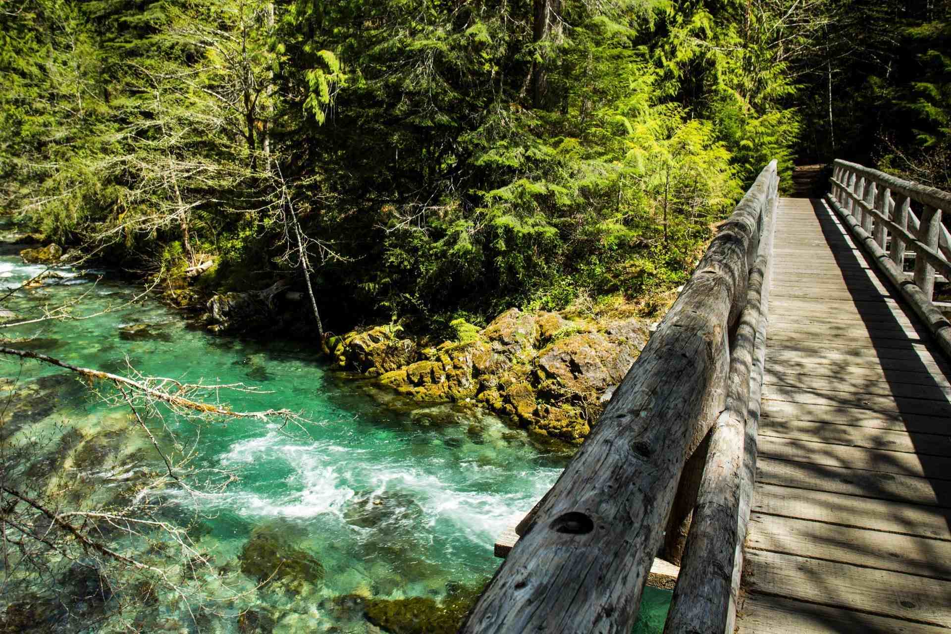 Secrets-Of-Oregon8217s-Opal-Creek-Forests secrets-of-oregons-opal-creek-forests