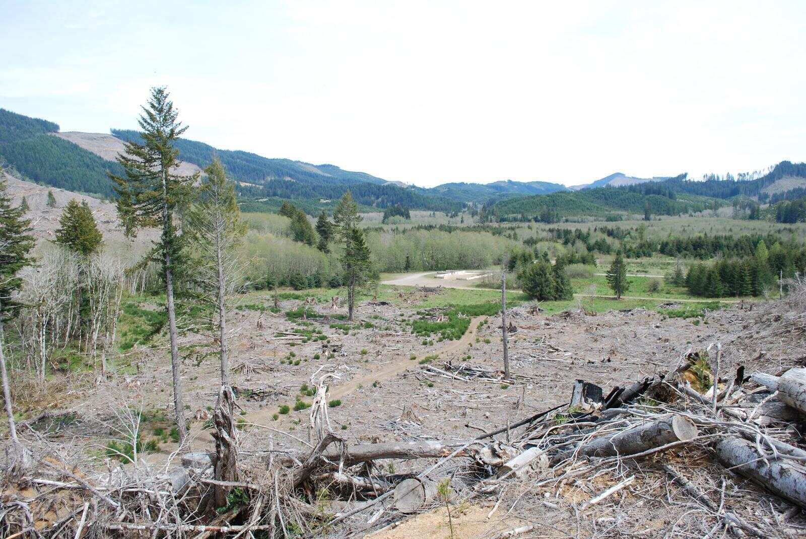 secrets-of-oregons-valsetz-ghost-logging-camps