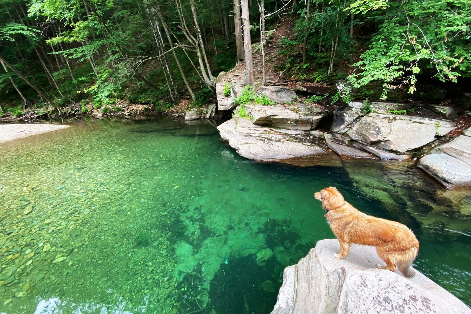 secrets-of-pennsylvanias-loyalsock-waterfalls