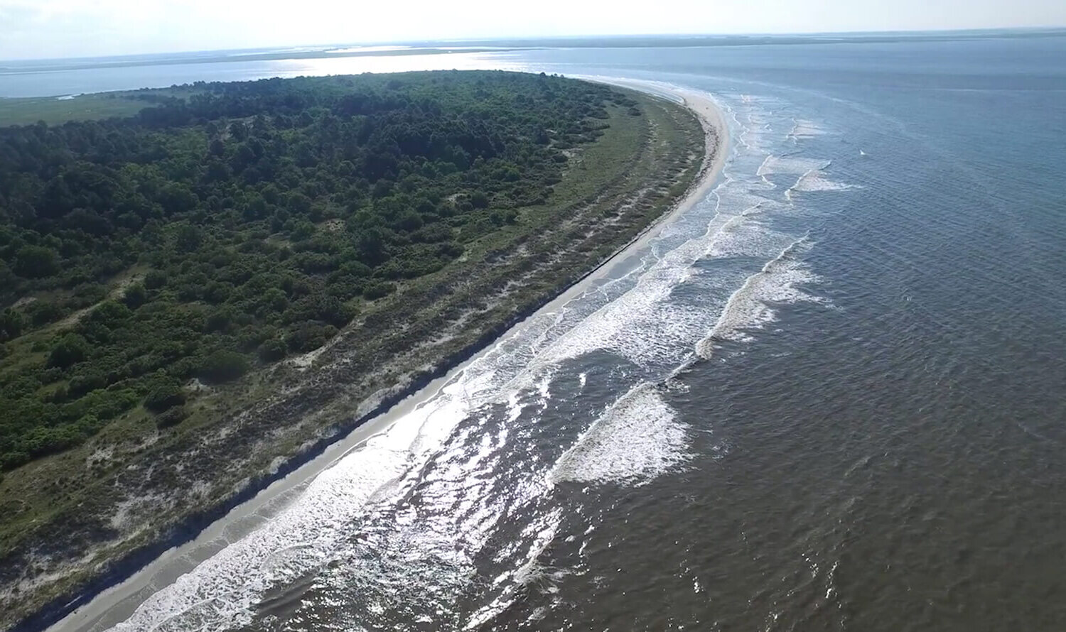 Secrets-Of-Sapelo-Island8217s-Ancient-Shell-Rings secrets-of-sapelo-islands-ancient-shell-rings