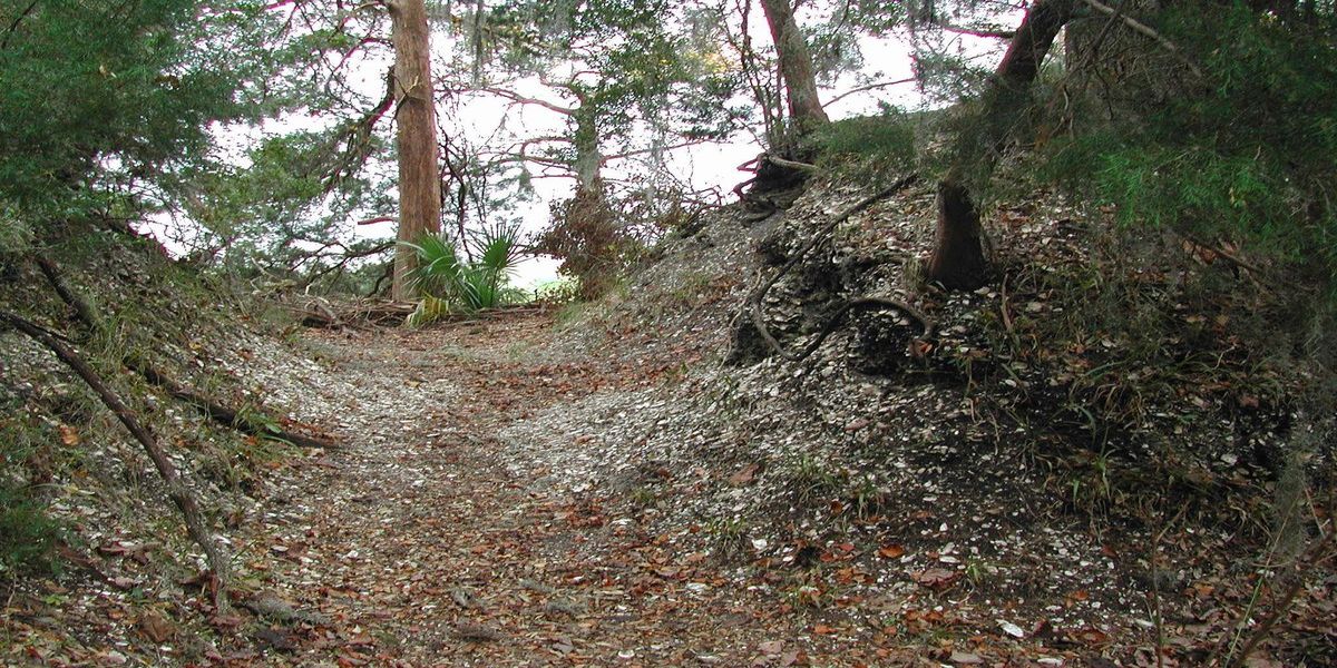 secrets-of-sapelo-islands-sacred-shell-rings
