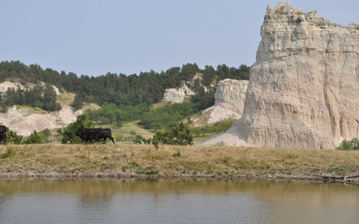secrets-of-south-dakotas-slim-buttes-medicine-pools
