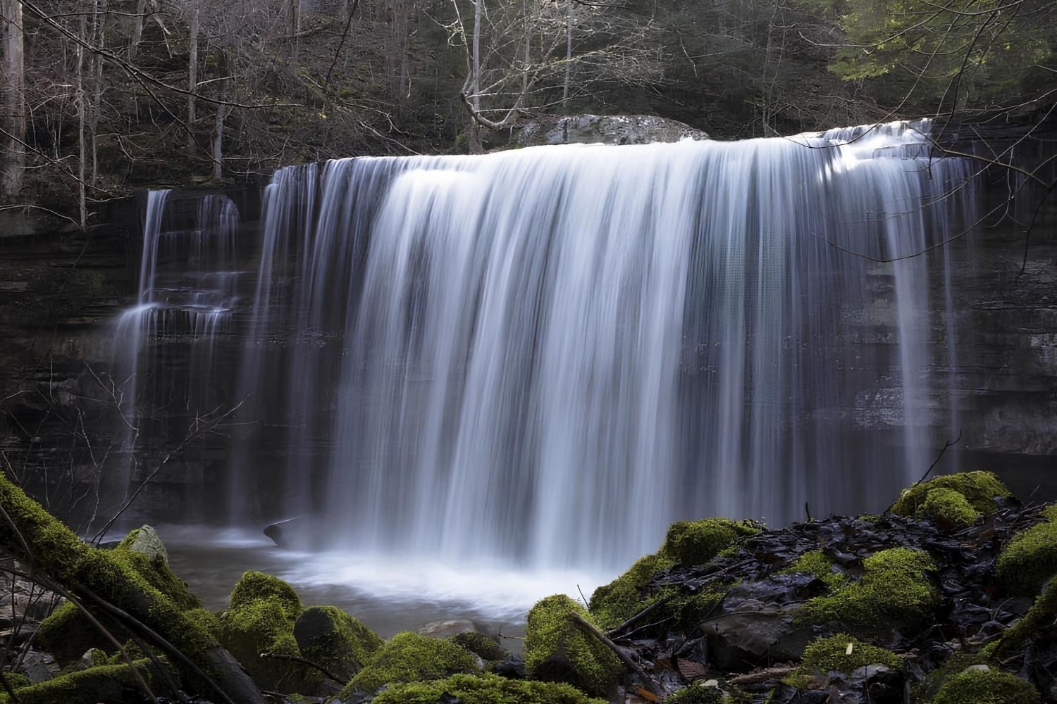 secrets-of-tennessees-savage-gulf-paths