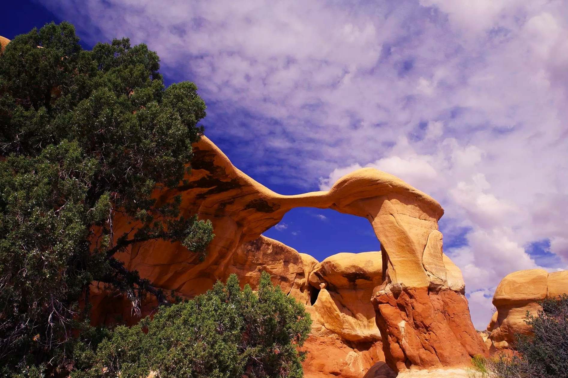 Secrets-Of-Utah8217s-Devil8217s-Garden secrets-of-utahs-devils-garden