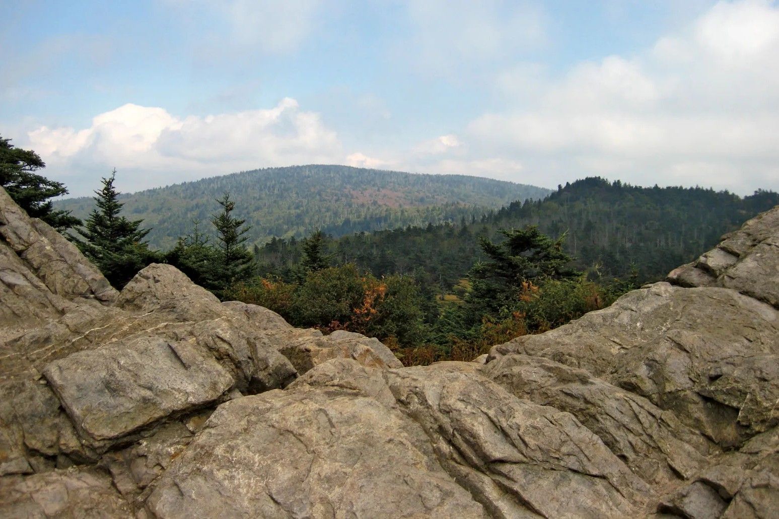 secrets-of-virginias-mount-rogers-griffin-gates