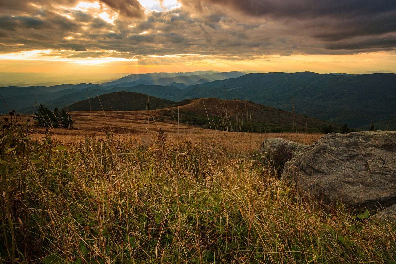 secrets-of-virginias-whitetop-griffin-paths