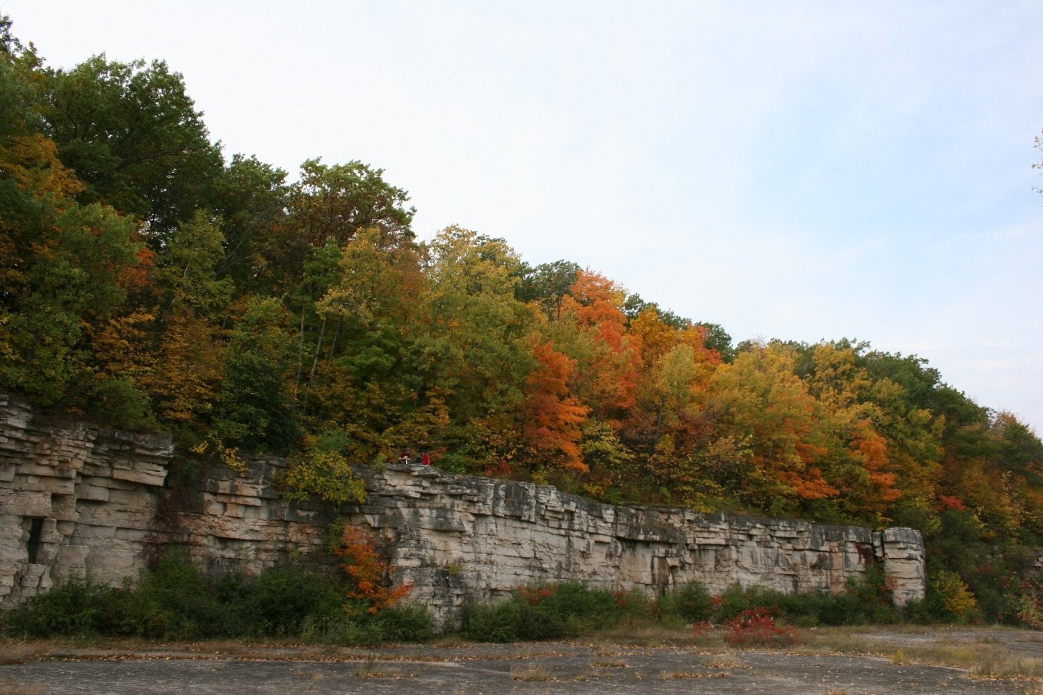 Secrets-Of-Wisconsin8217s-High-Cliff-Medicine-Trees secrets-of-wisconsins-high-cliff-medicine-trees